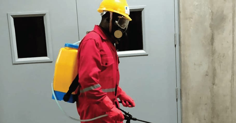 termite control